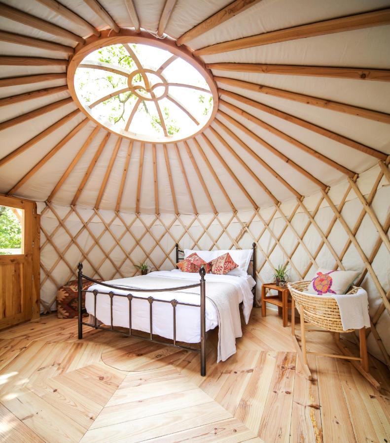Saint-Paulet-de-Caisson 레 에토엘 드 프로방스 B&B 외부 사진